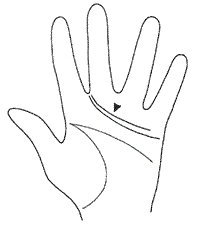 Двойная линия жизни