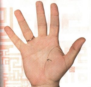 Трактовка длинной линии жизни на руке