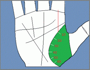 Длинная линия жизни на ладони