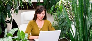 Цветы для офиса по фен-шуй