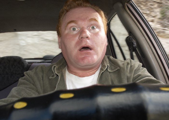 Кошка бросилась под машину